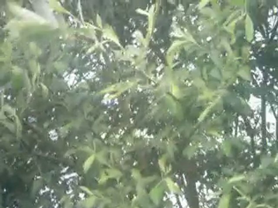 ALIZE - AJ Loeuilly 12 juin 2010