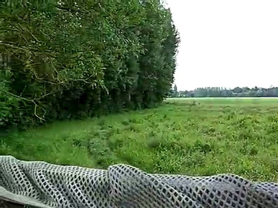13 06 2010 013