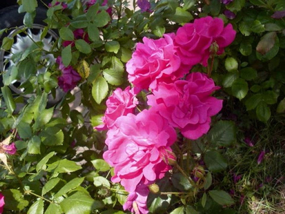 Week-end Tranquillou chez Pascal & Sabine