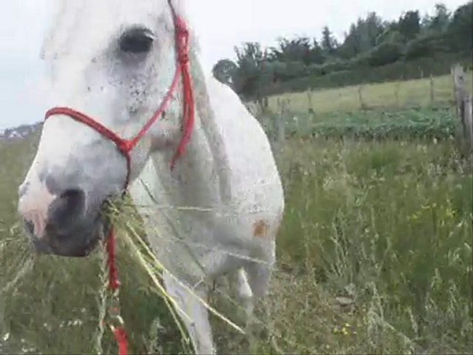 Début juin 2010