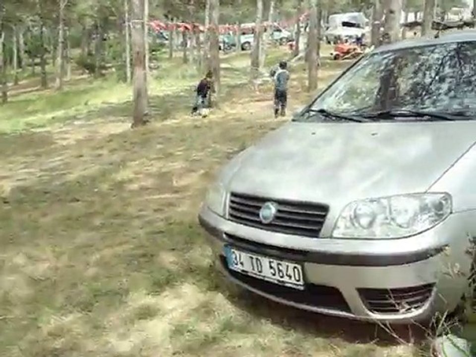 Piknik-3