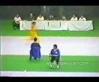 Changquan in The 19th All Japan Wushu Championships 2002