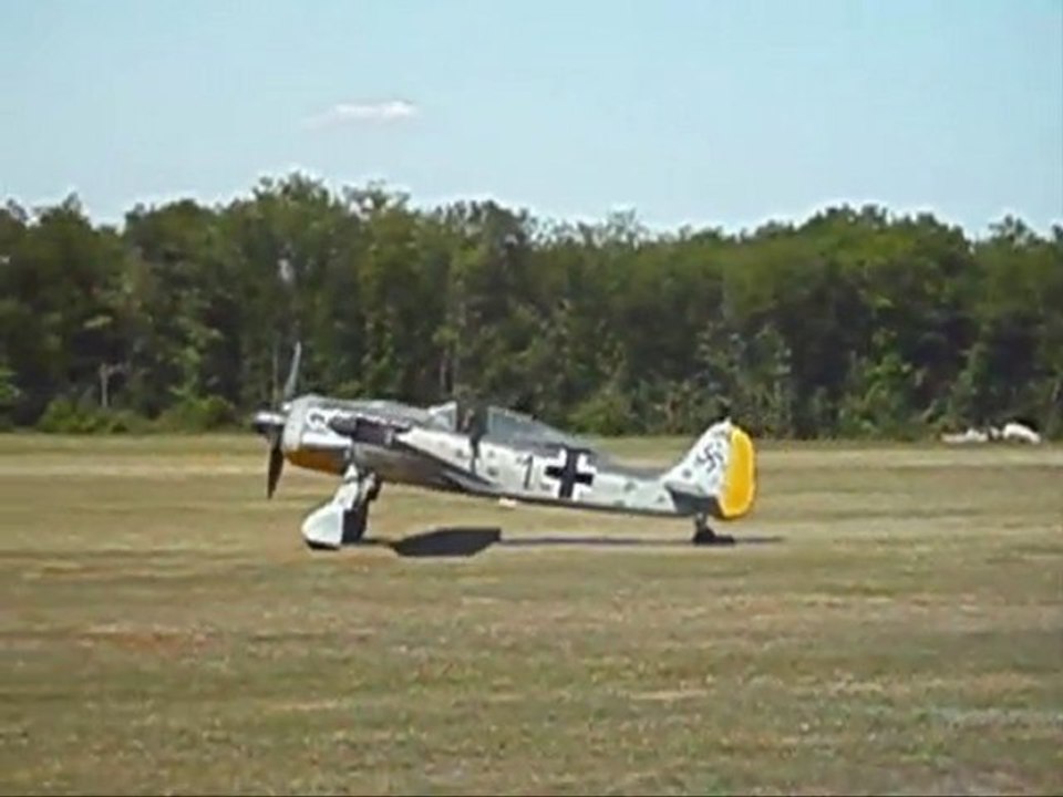 Fw-190 à Cerny/La Ferté-Alais 2010