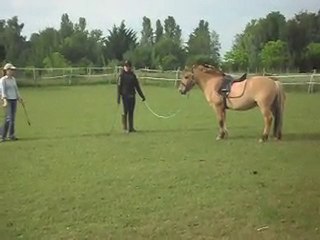 videos stage Celine 1 03 2010 004