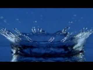 ROCKIN' SQUAT "La Lutte Du Siècle"