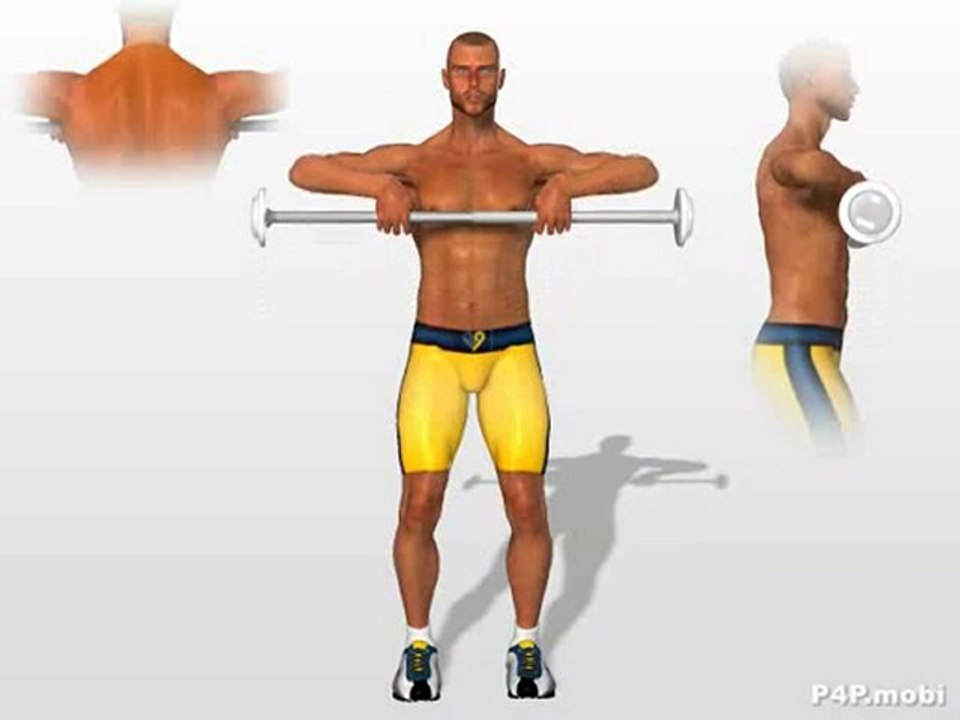 Rowing debout, trapeze