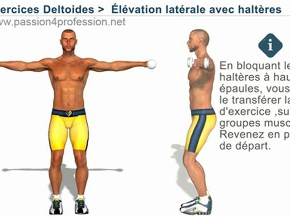 Elevation laterale, deltoides