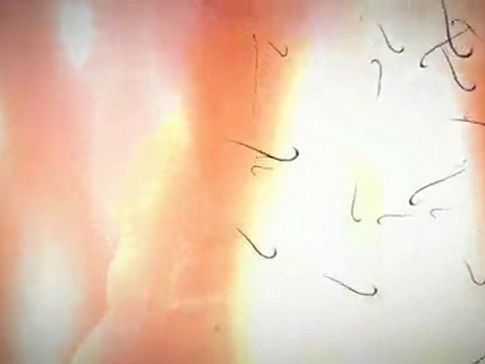 bande annonce world of warcraft cataclysm