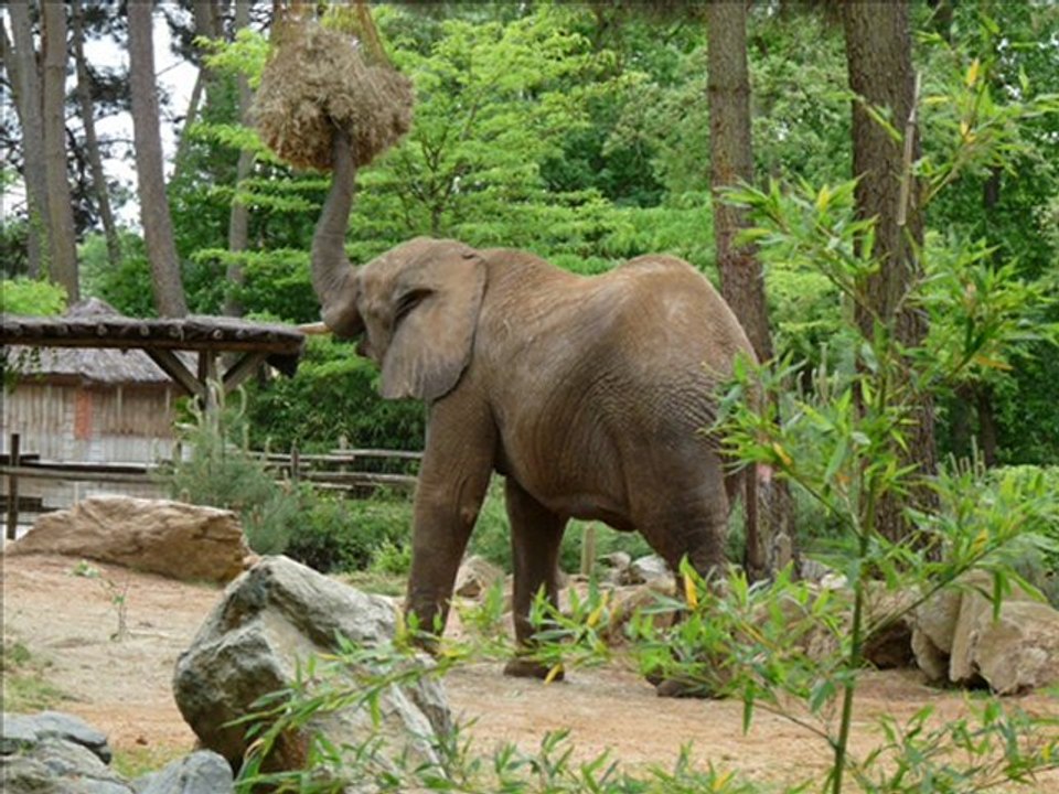 Une Journée au Zoo de La Flèche (Sarthe)