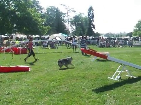 Under Agility 1 Championnat de france Annonay 2010