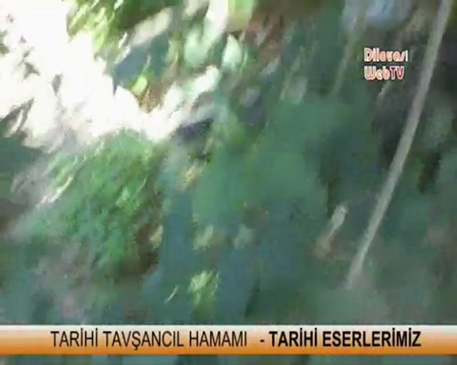 TARİHİ ESERLERİMİZ KADERİNE TERK EDİLDİ -TAVŞANCIL- DİLOVASI