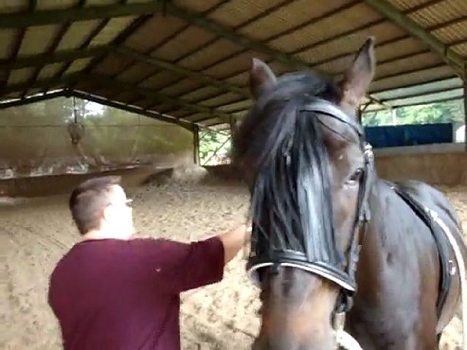 revision 14 juin 2010 028