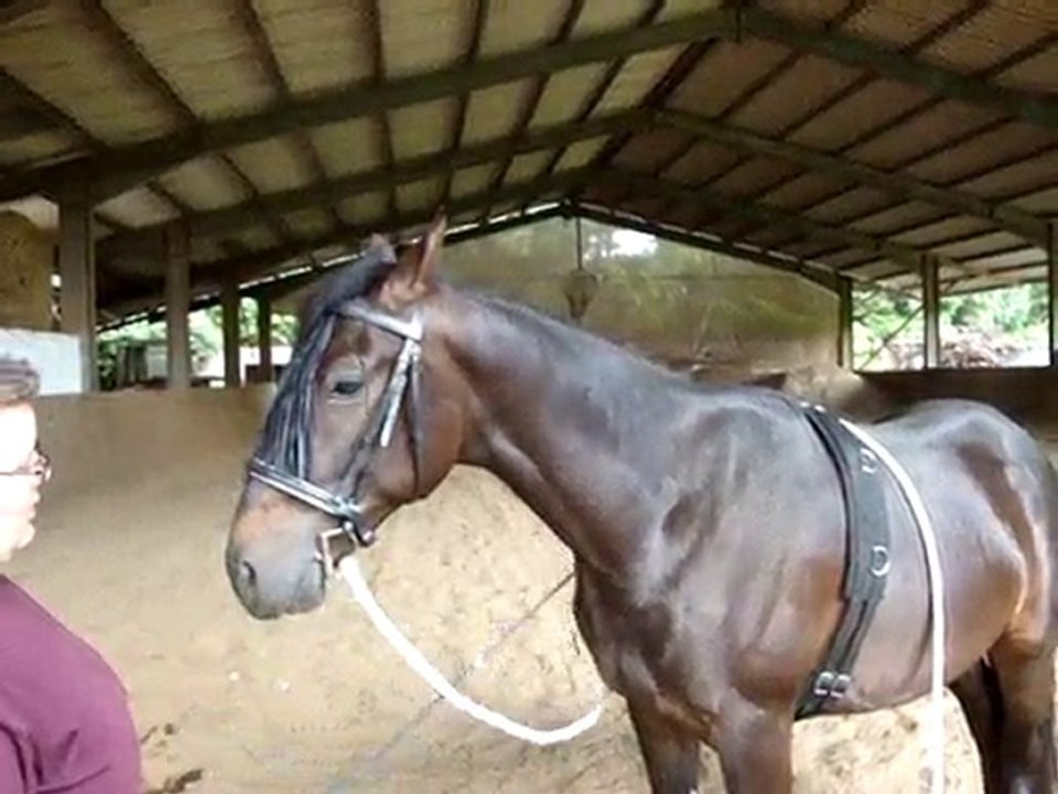 revision 14 juin 2010 029