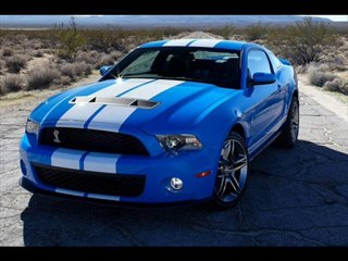 shelby mustang saleen