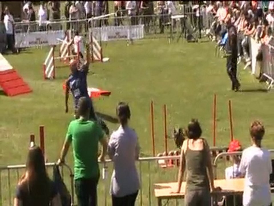 VICI Annonay Championnat de France Agility 2010