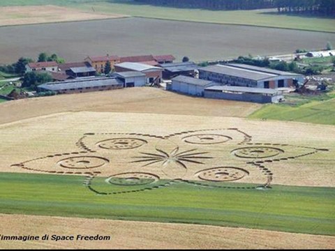 Crop Circle 13 June 2010 Torino Italy (Poirino)