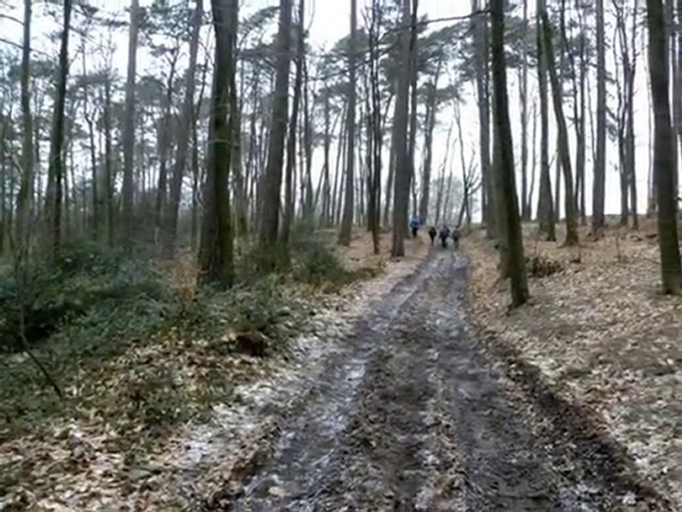 Diaporama de l'année 2010 - 3ème partie