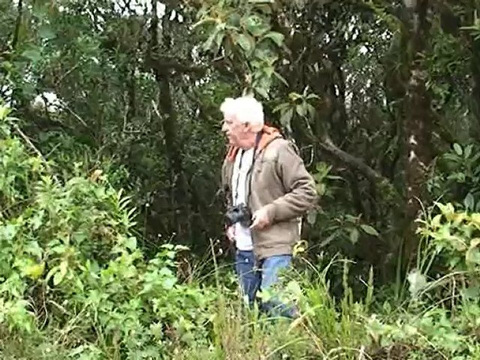 3.Campos do Jordao  Brasil