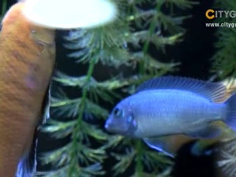 Hotel bel ami, paris