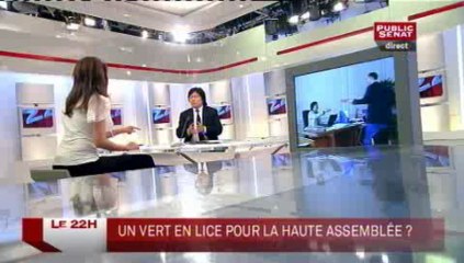 LE 22H,Jean-Vincent Placé, secrétaire national adjoint des Verts