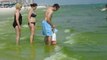Destin Florida oil spill update beach gulf oil spill