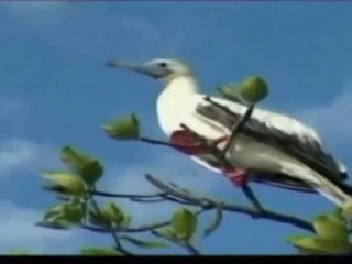 Seychelles le paradis sur terre ?