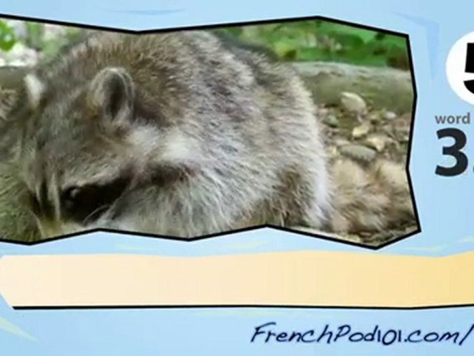 learn French-Learn with French Forest animals video