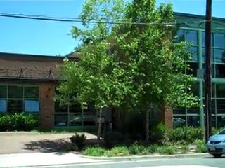 Rootwell Variable & Control, Proarbor Tree Service