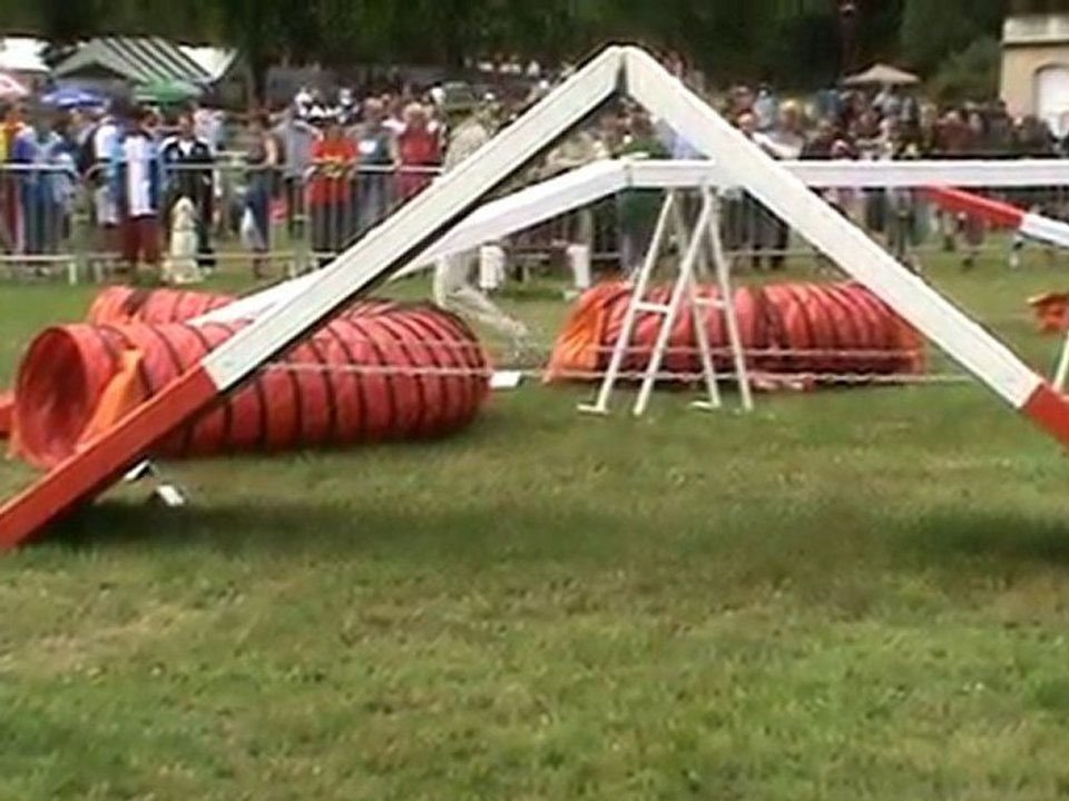 ANNONAY 2010 Corinne agility2 manche3