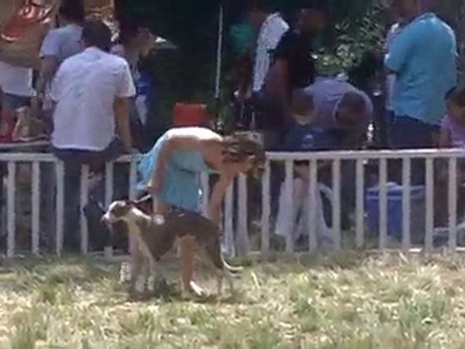 Cacs de Ventabren 2010