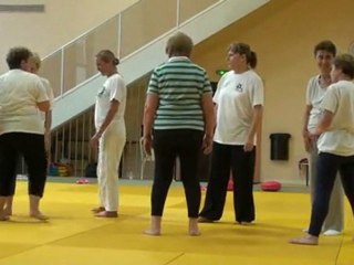 2010 06 10 cours taiso seniors