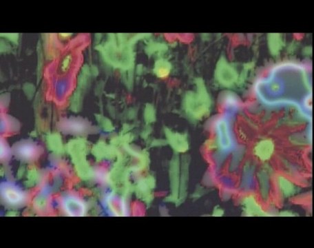 Impressionnisme et art contemporain : résonances au FRAC