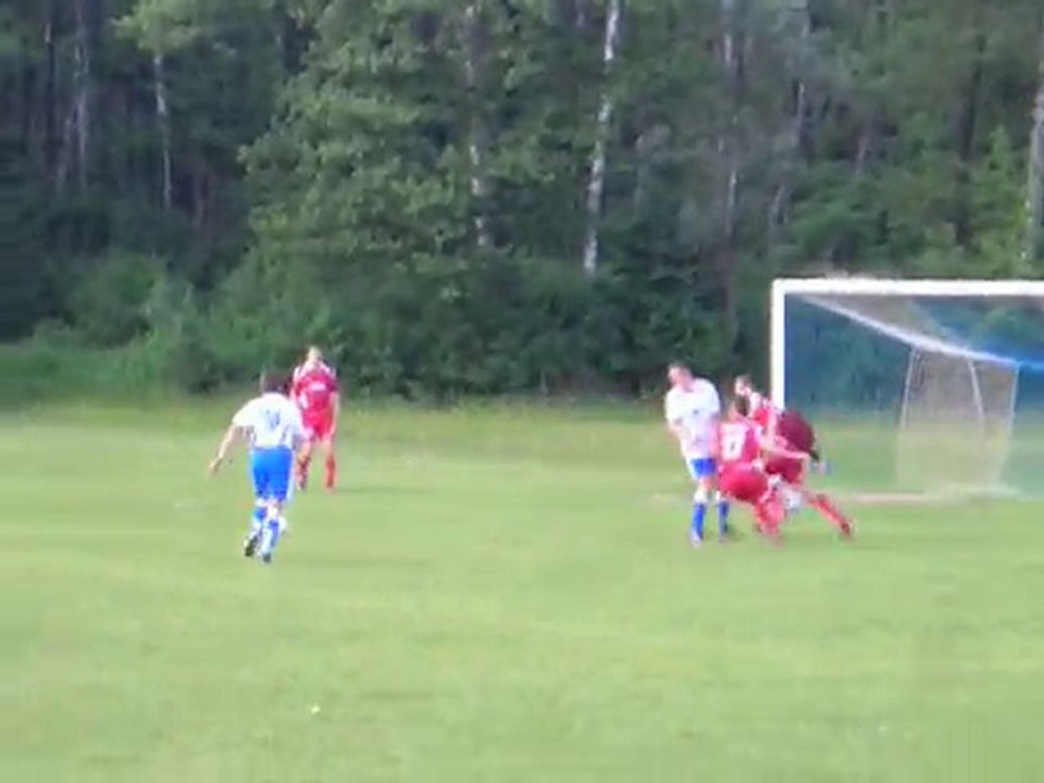 Gol Arkadiusza Winiarza