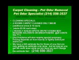 Plano carpet cleaning pet odor removal water extraction Easy