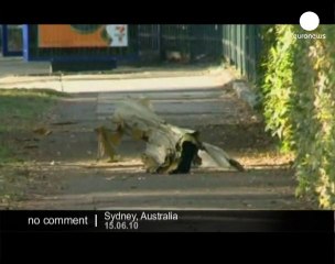 Australia: Plane crash in Sidney - no comment