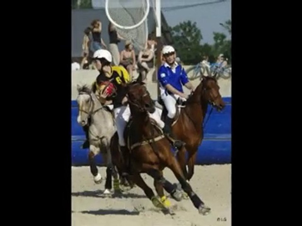 LE GRAND TOURNOI JUIN 2010 HORSE BALL SHA
