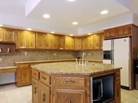 Homes for Sale - 13661 Ishnala Dr - Orland Park, IL 60462 -