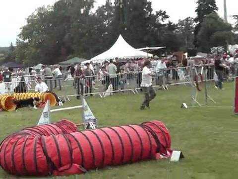 aika jump Cde F 2010