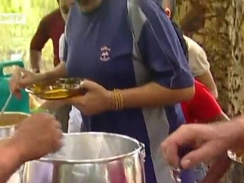 The Amazon - A Sanctuary Against Deforestation | Global 3000