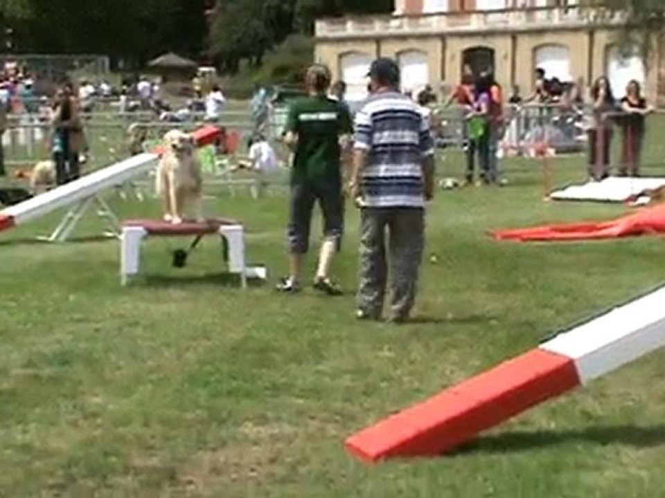 ANNONAY 2010 Chanel agility1 manche1