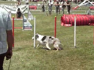 swanny jump C de F 2010