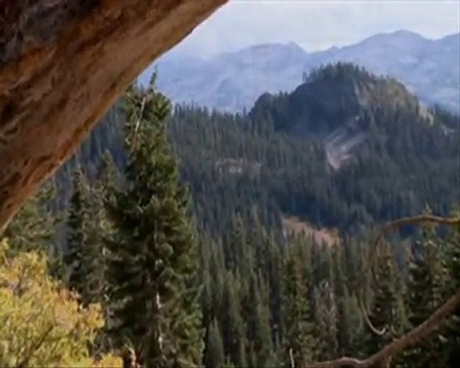 KILLIANS QUEST