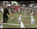 WINNETOO - JUMP CHAMPT DE FRANCE ANNONAY - 12 06 2010