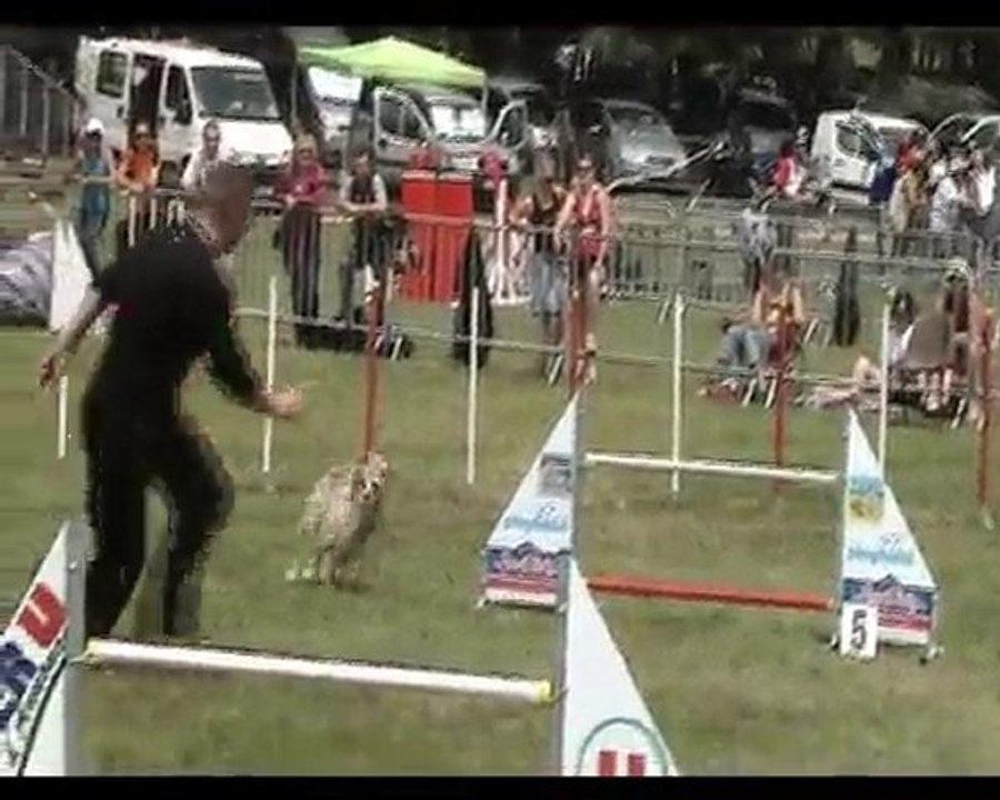 WINNETOO - JUMP CHAMPT DE FRANCE ANNONAY - 12 06 2010