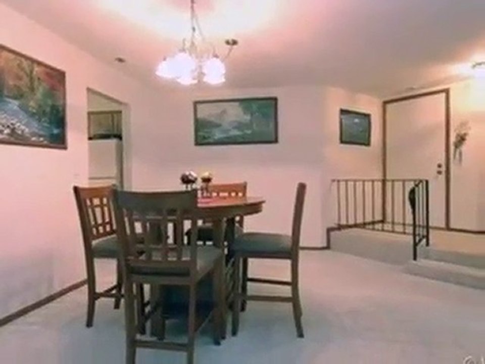 Homes for Sale - 9744 Mill Dr E Apt E1 - Palos Park, IL 6046