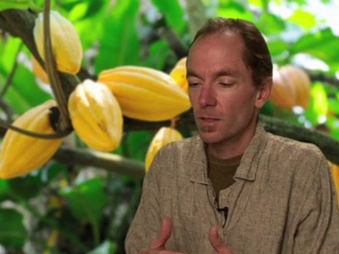 Involved with Raw Chocolate - Kelly Johnson