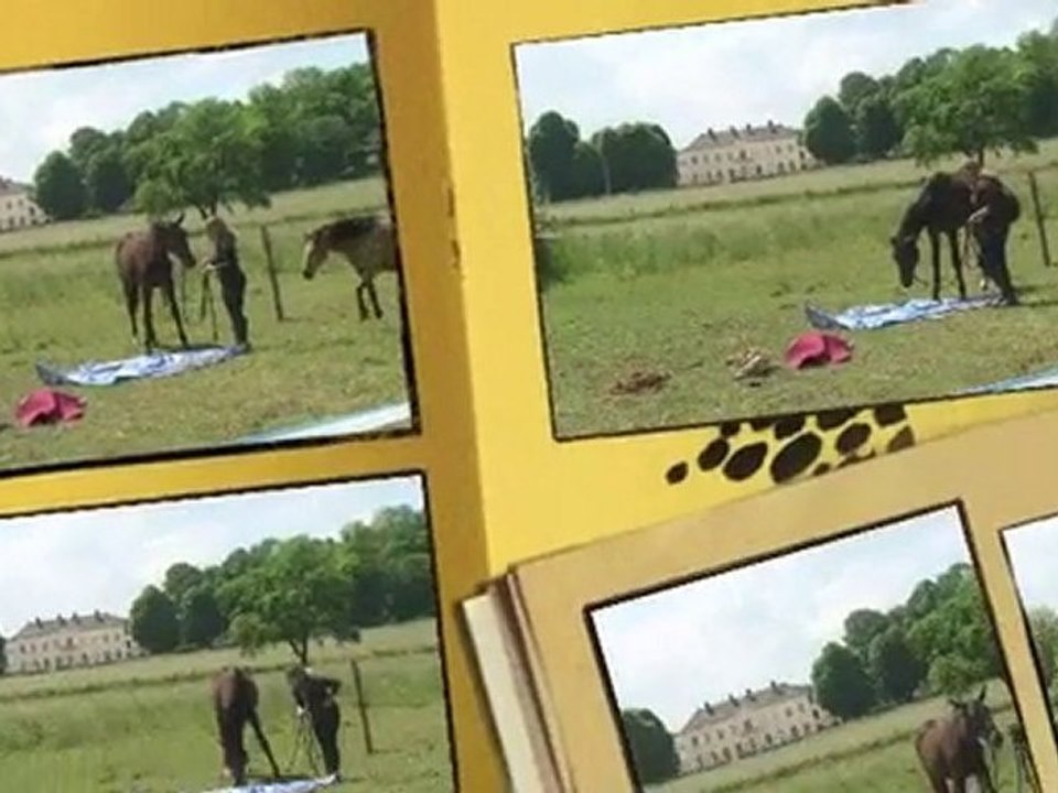 la vie de poulain ok