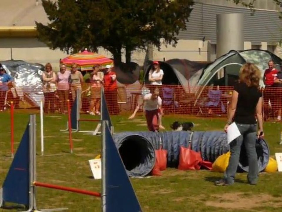 Vixie jumping championnat de Lorraine