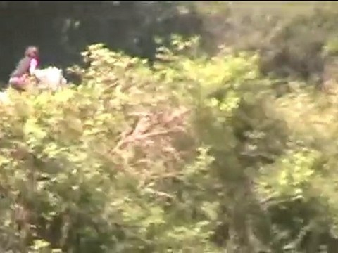 CCE juin 2010 Cross Emilie Jade