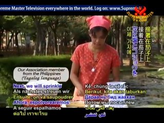 Philippine Vegan Tortang Talong (Vegan Eggplant Omelet)